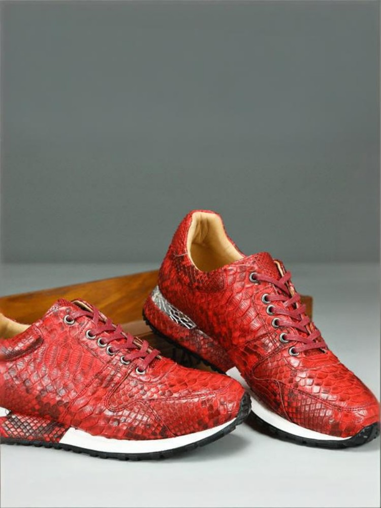 Concise Solid Color Snakeskin  - огляд і ціна Crossfit Male